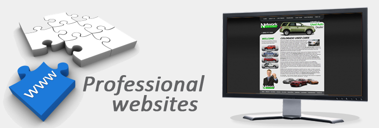 Professional-web-design